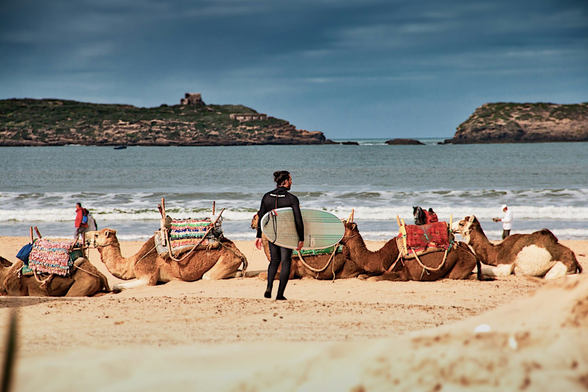 Sunset Camel Riding